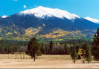 Comfi Cottages of Flagstaff, Arizona will provide you and yours with a home base to explore Flagstaff and Northern Arizona.