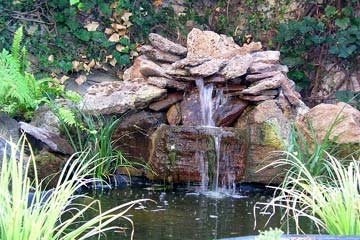Let the Sounds of the Waterfall Soothe You
