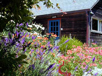 The Geranium Room