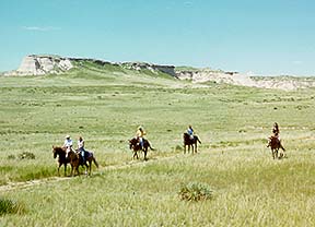 Chalk Bluffs