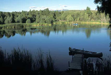 View from the Lakehouse