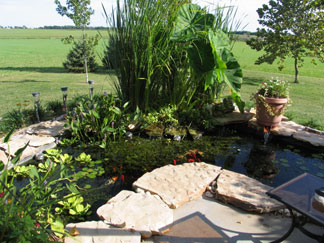Water Garden