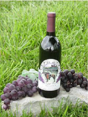 Winery