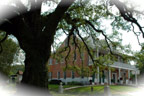 Saint Martinville, Louisiana (LA) Bed & Breakfast: Beneath the moss-draped branches of the legendary Evangeline Oak, the 1829 Greek Revival structure of the Old Castillo Bed and Breakfast rises from the banks of the historic Bayou Teche. Located in the heart of historic St. Martinville, the home is within easy walking distance of St. Martin Square.  Choose from 5 guestrooms, beautifully decorated in period antiques and reproductions. Come experience the warmth of Acadian culture and cuisine.