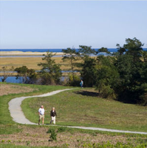 Fort Hill Trails