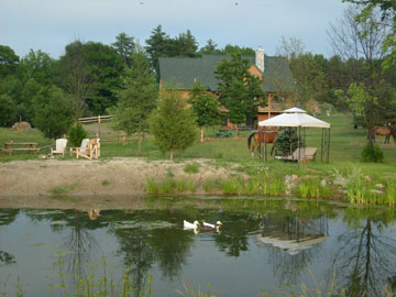 Relax By the Pond