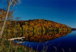 Fall