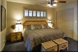 Suite 3