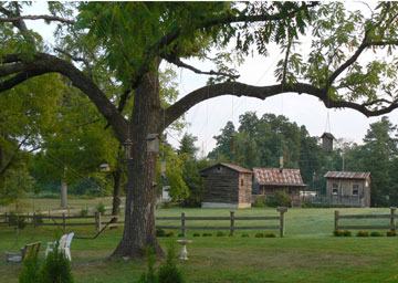Walnut Tree & Barns