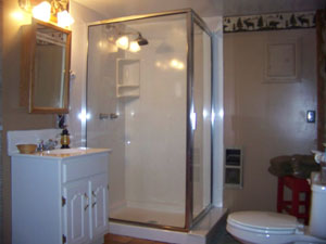 Walk in Shower