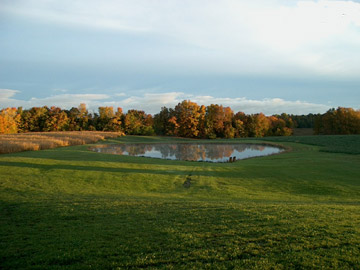 Fall In All Its Grandeur