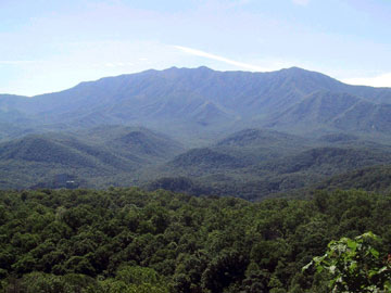 Panoramic View