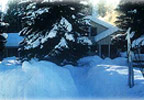 Glenwood, Washington (WA) Bed & Breakfast: The Flying L Ranch B&B/Retreat Center is located on the sunny eastern slope of the Cascade Range, nestled in the ponderosa pines and meadowland of the Glenwood Valley at the base of the giant volcano, 12,276-ft. Mt. Adams. The 100-acre retreat is just a 2-hour scenic drive from Portland and 40 minutes north of the Columbia River Gorge.